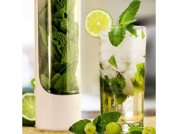 Herb container fresh vegetables greenhouse