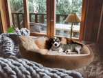 Cama de felpa cojín perro corralito gato suave sofá ropa de cama