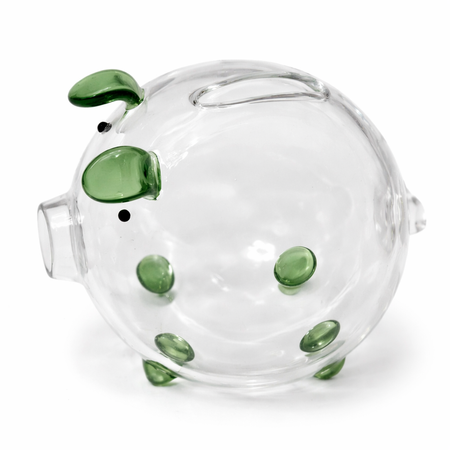 KLEINES GRÜNES SPARSCHWEIN (48)