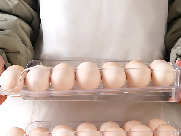 Huevera nevera alimentador para 14pc huevos universal