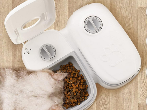 Comedero doble para perro gato dispensador automático de comida temporizador grande