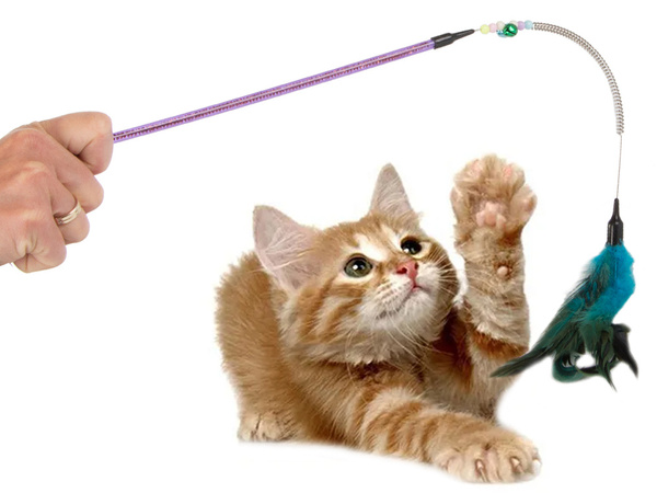 Cat toy fishing rod feather rattle play toy