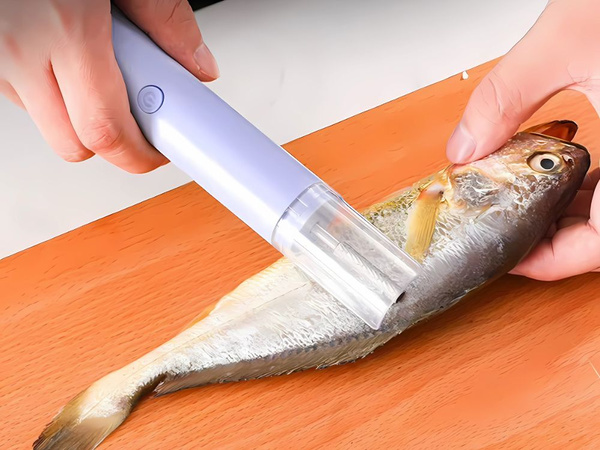 Grattoir électrique grattoir écaille de poisson écailleur râpe