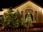 Sapin de noël intérieur blanc chaud 500 leds 7 programmes