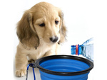 Szilikon tál kutyáknak összecsukható turisztikai carabinieri 400ml