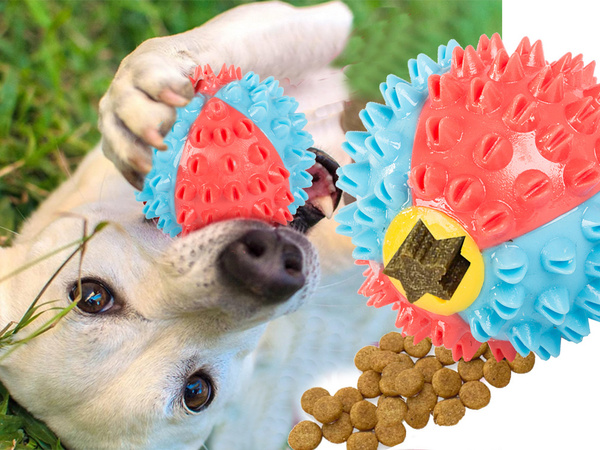 Ball treat chew toy for dog food