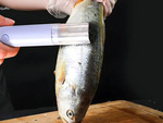 Raspador eléctrico raspador escama de pescado rallador