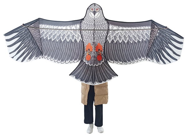Kite bird eagle 2m linnupeletaja koos nööriga