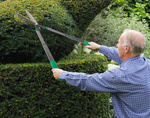 Ciseaux à main de jardin pour haies arbustes sécateur télescopique