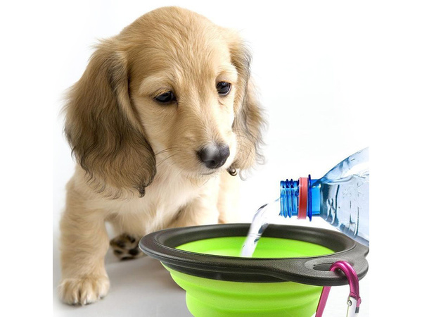 Coupe pliante en silicone pour chien, chat, voyage, lumiere 800ml