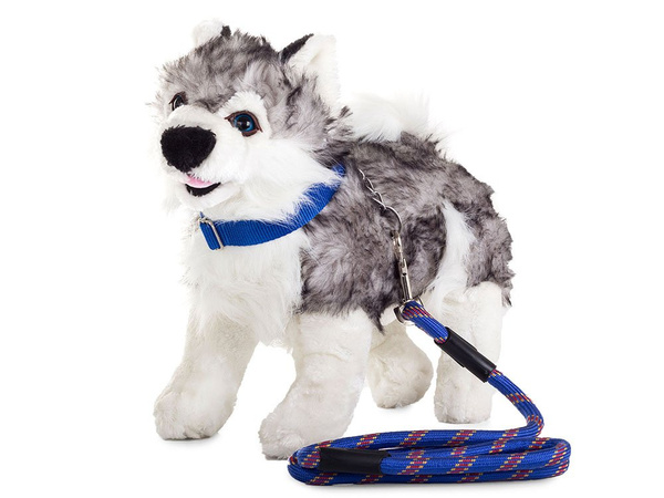 Dog lanyard 120cm/1.3cm strong collar