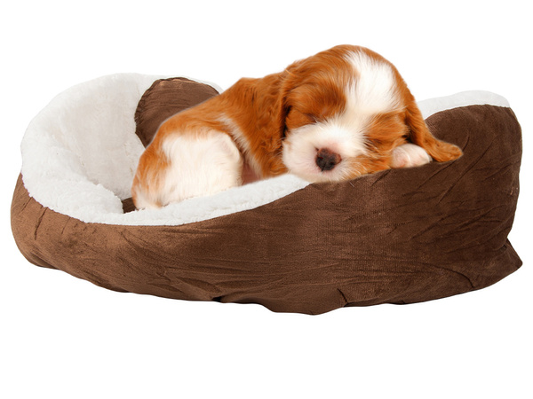 Fluffy dog bed cat bedding soft cushion couch bedding 60cm