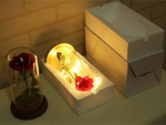 Everlasting rose in glass red led gift luminous for an occasion for women