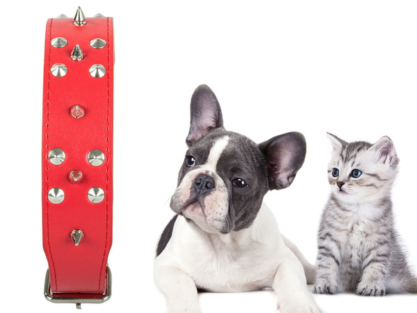 Obroża dla psa z ćwiekami ekoskóra regulowana xl