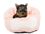 Cama blanda para perros cojín corralito para gatos