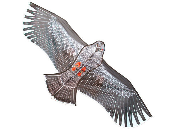 Aitvaras "bird eagle" 2 m paukščių atbaidymo priemonė su virvele