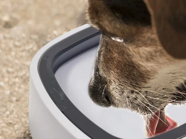 Bebedero flotante para perro y gato 1l bebedero lento antisalpicaduras