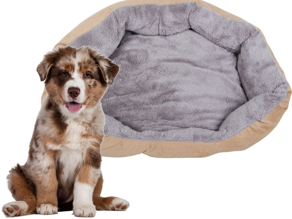 Lit pour chien chat lit moelleux canapé coussin m large