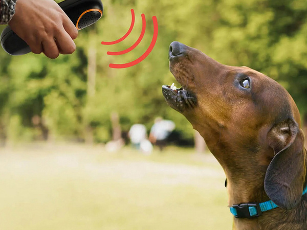 Electronic ultrasonic dog repellent