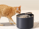 Bebedero automático para gatos fuente de agua para perros filtros cuenco de agua