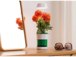 Plant growth panel lamp 6 led 4 uv self watering pot