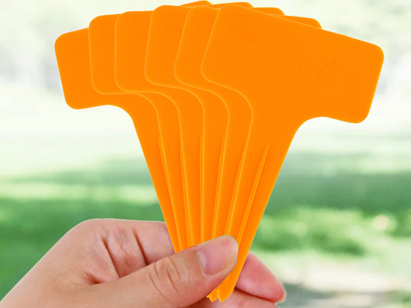 Descripción de la planta etiquetas semillas características 50pcs