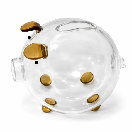 PUȘCULIȚĂ PORCUȘOR MICĂ MARO (48)