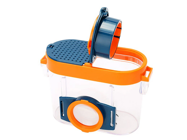 Loupe insecte loupe récipient