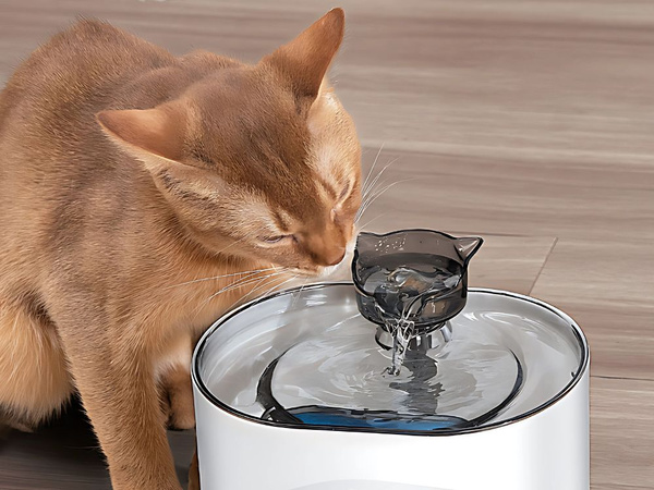 Bebedero gato perro cuenco automatico + filtro 2l sensor de movimiento