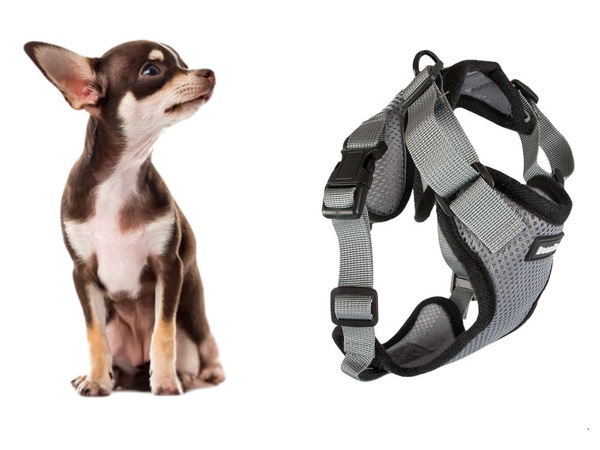 Arnés de paseo close-clip para perro pequeño asa ligera suave fuerte s