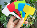 Descripción de la planta etiquetas semillas características 50pcs