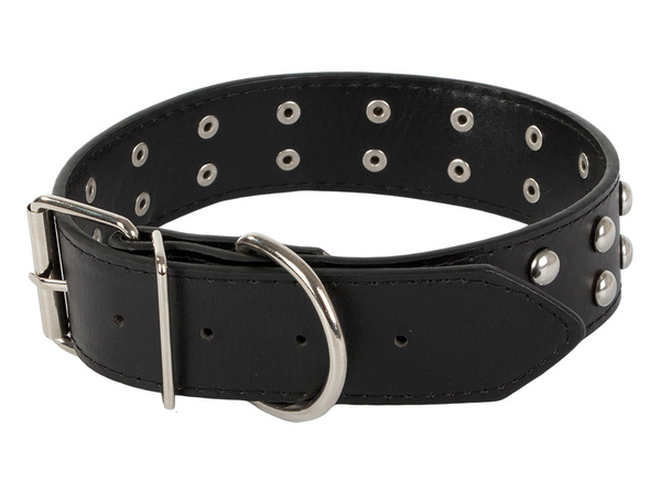 Studded dog collar eco leather adjustable l