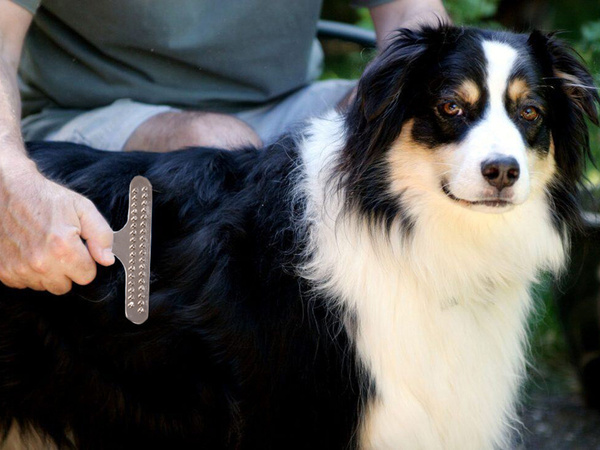 Recortadora peine cepillo pelo de perro grande pelo de gato
