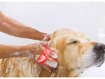 Cepillo para peinar pelo de perro peine masajeador suave para gatos