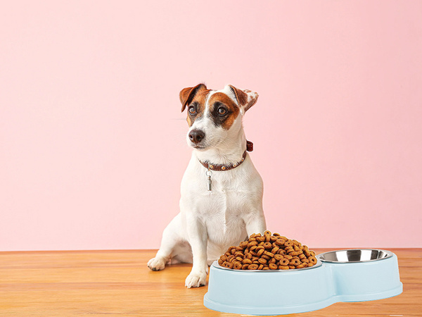 Cuenco doble de metal para comida de perro gato agua