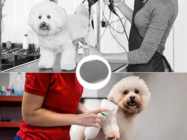 Sèche-cheveux brosse peigne 2in1 pour chien animaux de compagnie
