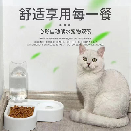ДВОЙНАЯ МИСКА ДЛЯ КОШКИ (20)