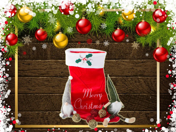 Weihnachtsgeschenk socke michael gross