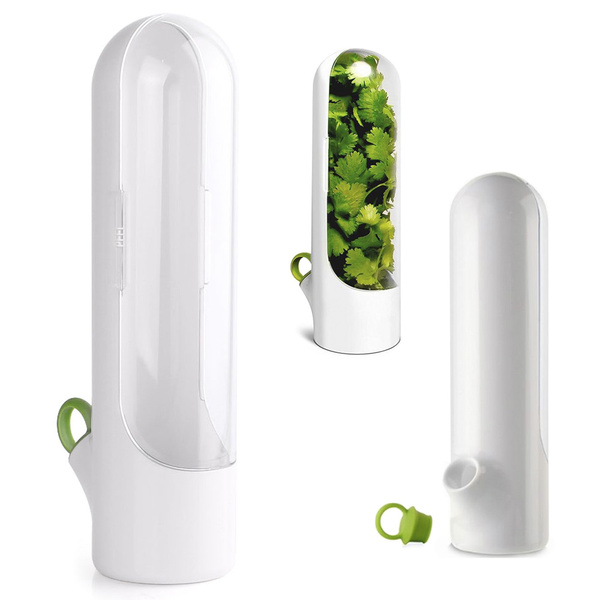 Herb container fresh vegetables greenhouse