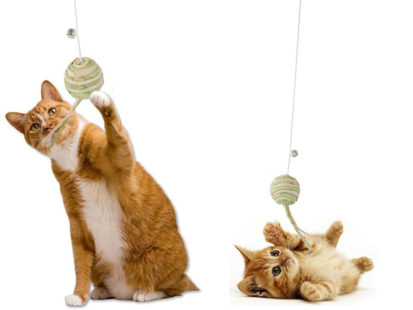 Juguete para gatos caña de pescar pelota sonajero juguete