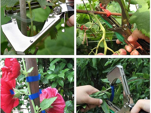 Grapadora de plantas grapadora de jardín grapadora de tomates grapadora de sarmientos