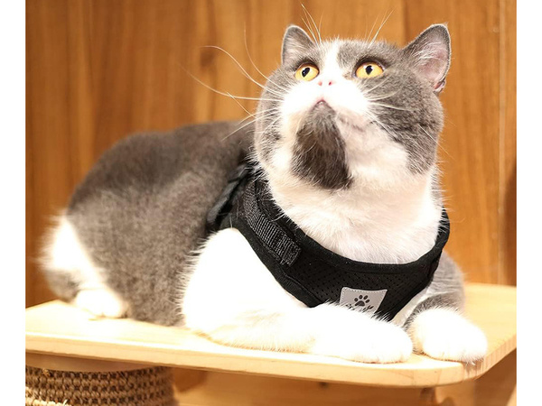 Soft soft strong reflector xs pressureless walking harness for dog cat rabbit soft strong reflector xs