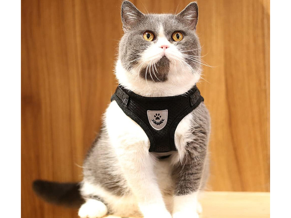 Soft soft strong reflector xs pressureless walking harness for dog cat rabbit soft strong reflector xs