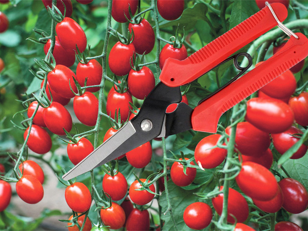 Käsi oksakäärid põõsaste oksakäärid muru taimede oksakäärid