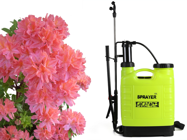 Pulverizador a presión de mochila pulverizador manual de jardín lanza 12l
