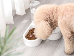 Comedero y bebedero doble 2en1 con depósito de 500 ml para perro y gato