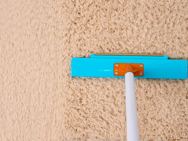 Brush to pick up dog hair removal from carpet carding