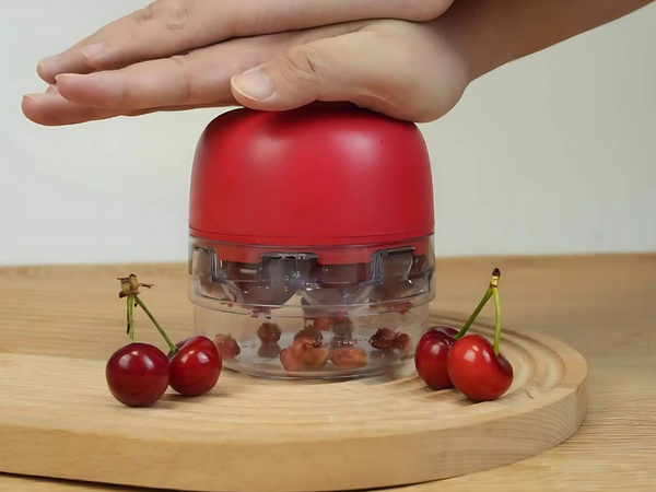 Dénoyauteur pour cerises, cerises noires et olives avec récipient, presse-noyaux manuel