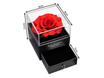 Rosa eterna en caja caja de regalo joyería collar cajón