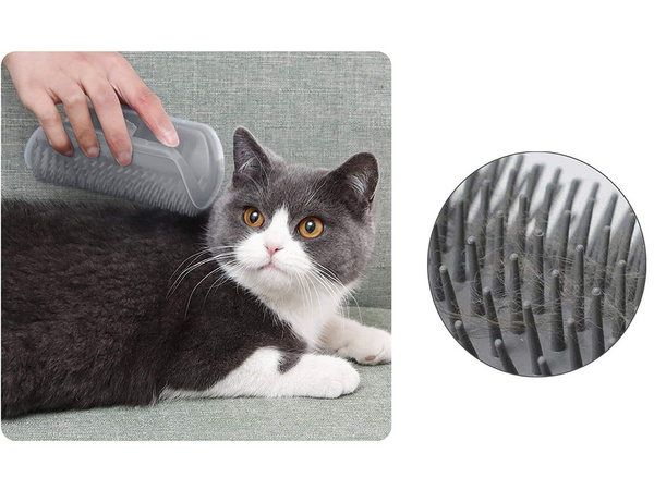 Brosse à griffer pour chat coin griffoir pour chat herbe à chat griffoir pour chat